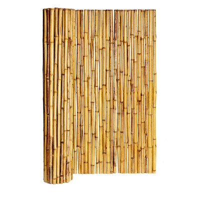 frontera de bambú decorativa coloreada naturaleza de For Garden Backyard de la cerca del 150cm