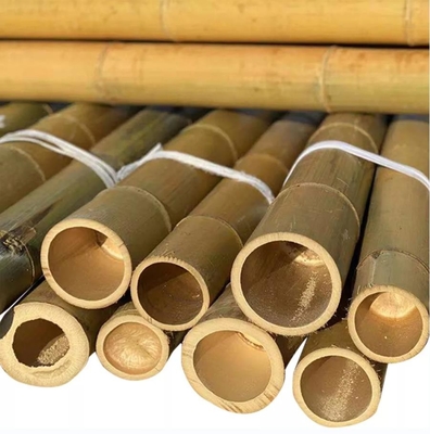 Tamaño personalizado Moso natural puro palo de bambú seco Moso sólido palo de bambú para construcción o decoración