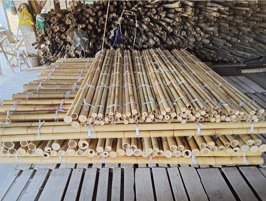 Diámetro de 18 mm a 160 mm Caña de bambú Moso Palo de bambú Construcción Agricultura