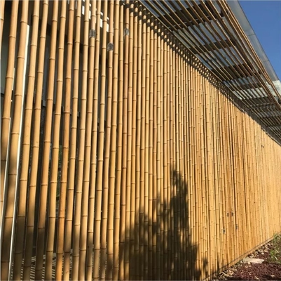 Diámetro de 18 mm a 160 mm Caña de bambú Moso Palo de bambú Construcción Agricultura