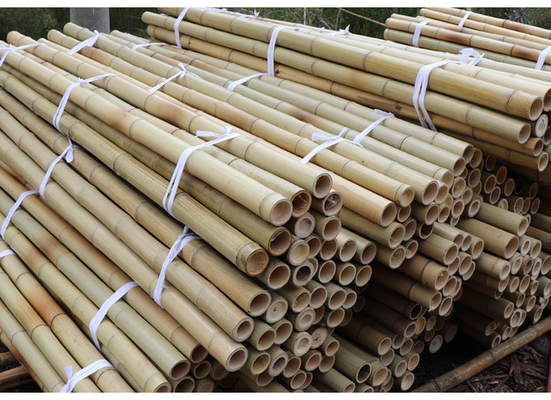 Participaciones de bambú naturales de postes de los muebles del jardín derecho para la longitud el 16cm de la planta de jardín