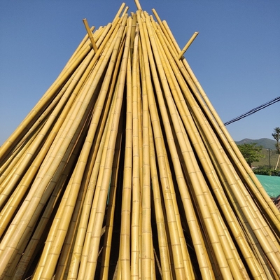 El 100% poste los 240cm de bambú crudo natural que construye Deoration los 60cm a los 595cm