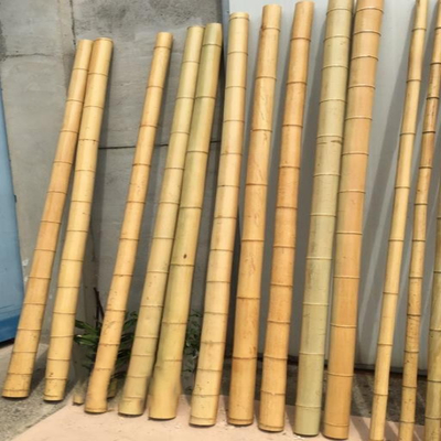 Participaciones de bambú naturales de postes de los muebles del jardín derecho para la longitud el 16cm de la planta de jardín