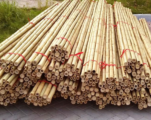 Participaciones de bambú naturales de postes de los muebles del jardín derecho para la longitud el 16cm de la planta de jardín