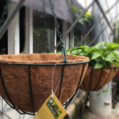 Cesta del plantador de la ejecución del metal de la decoración del jardín con el trazador de líneas de los Cocos del bonote de los Cocos