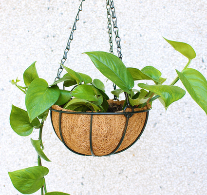 Cesta del plantador de la ejecución del metal de la decoración del jardín con el trazador de líneas de los Cocos del bonote de los Cocos