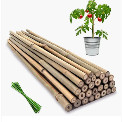 Moso rema a postes de bambú que los bastones estacan los palillos que cultivan la decoración que cultiva un huerto de la ayuda