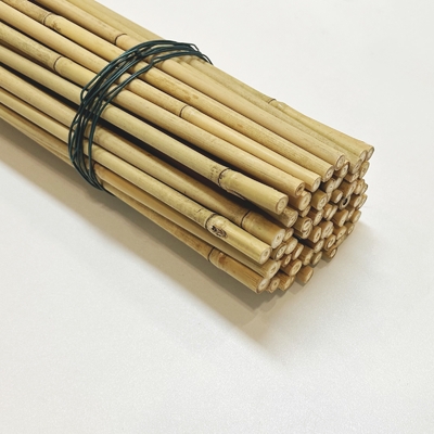 Moso rema a postes de bambú que los bastones estacan los palillos que cultivan la decoración que cultiva un huerto de la ayuda