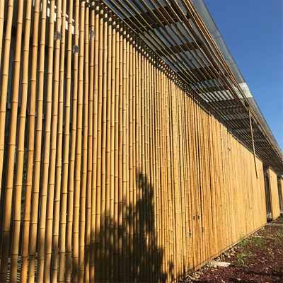 Participaciones de bambú naturales de postes de los muebles del jardín derecho para la longitud el 16cm de la planta de jardín