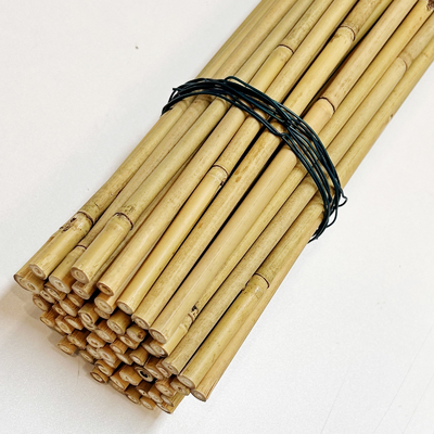 Palillo de bambú de bambú crudo del 100% postes postes diámetro de los 0.004m a de los 0.014m