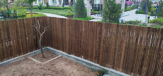 Cerca de bambú pintada material de bambú natural Privacy Garden Border de Panels Rolled Bamboo de la cerca