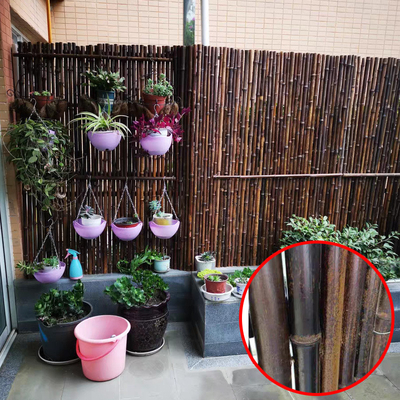 Cerca de bambú pintada material de bambú natural Privacy Garden Border de Panels Rolled Bamboo de la cerca