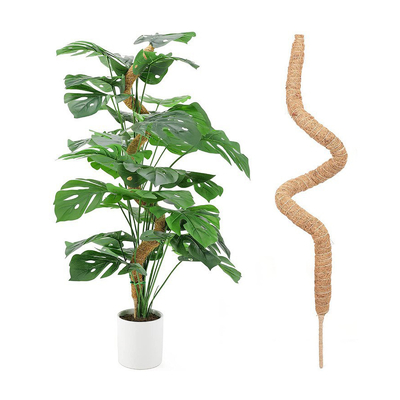 Moss Pole Plant Support Climbing Poles de coco Plantas de colores de palma