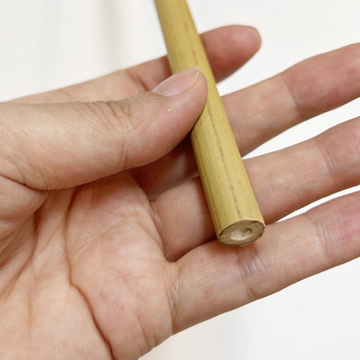 Los 60cm rectos secos hasta el color natural de bambú grande de los 595cm postes