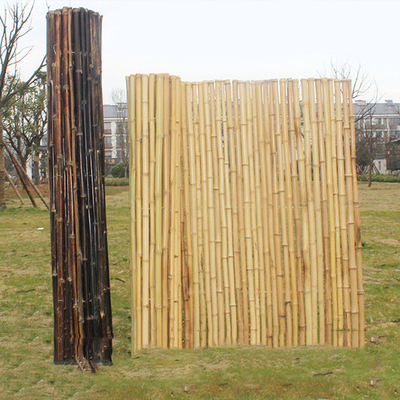 investigación rodada de bambú de la cerca del 180cm del jardín de bambú decorativo de Natural Bamboo Fence