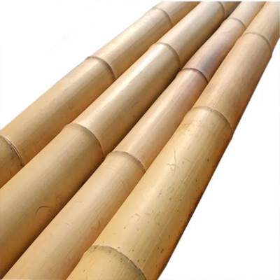 Fuerte Vara de Bambú – Perfecta para Proyectos de Bricolaje, Soportes y Decoración