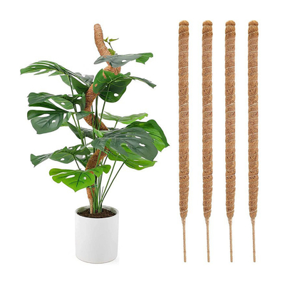 Palos de coco de coco tamaño personalizado palos de coco de coco Totem Mat para plantas de crecimiento escalada