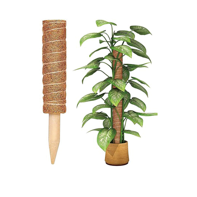 Palma de coco Coco Moss Stick Totem Pole Coco Coir Totem Pole Plantas de apoyo Extensión Escalada Plantas de interior Reptiles
