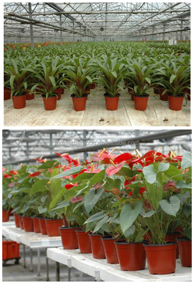 Maceta de plástico duradero, contenedor de plantas ligero y versátil 1